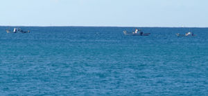 土佐沖に漁に出るカツオ船